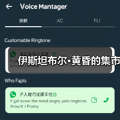 伊斯坦布尔·黄昏的集市（图3）