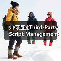 如何通过Third-Party Script Management实现高效网站优化(图4) 如何通过Third-Party Script Management实现高效网站优化(图4)