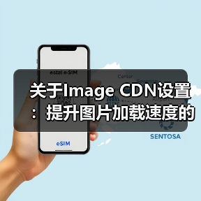 关于Image CDN设置：提升图片加载速度的秘密武器（图4）