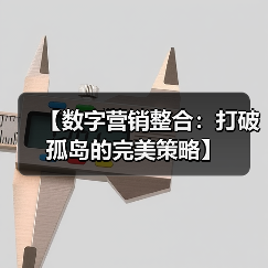 【数字营销整合:打破孤岛的完美策略】(图3) 【数字营销整合:打破孤岛的完美策略】(图3)