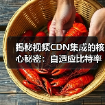 揭秘视频CDN集成的核心秘密：自适应比特率流媒体的革新之路（图3）
