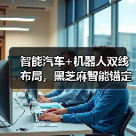 智能汽车+机器人双线布局，黑芝麻智能锚定端侧AI芯片创新（图3）