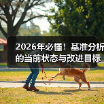 2026年必懂!基准分析的当前状态与改进目标全解(图3) 2026年必懂!基准分析的当前状态与改进目标全解(图3)