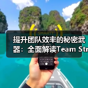提升团队效率的秘密武器:全面解读Team Structure Design的核心要素(图3) 提升团队效率的秘密武器:全面解读Team Structure Design的核心要素(图3)