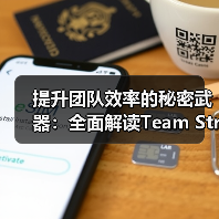 提升团队效率的秘密武器:全面解读Team Structure Design的核心要素(图4) 提升团队效率的秘密武器:全面解读Team Structure Design的核心要素(图4)