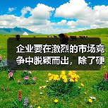 企业要在激烈的市场竞争中脱颖而出，除了硬核的产品和技术外，**Business Goal Alignment（业务目标对齐）**已成为不可回避的核心战略。尤其是（图4）