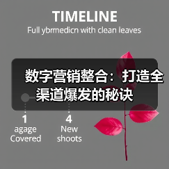数字营销整合：打造全渠道爆发的秘诀（图4）