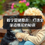 数字营销整合：打造全渠道爆发的秘诀（图1）