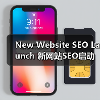 New Website SEO Launch 新网站SEO启动 从零开始 快速成长（图3）