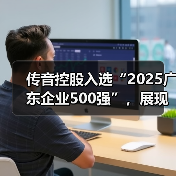 传音控股入选“2025广东企业500强”,展现强劲创新实力(图4) 传音控股入选“2025广东企业500强”,展现强劲创新实力(图4)