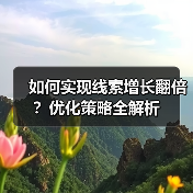 如何实现线索增长翻倍？优化策略全解析（图1）