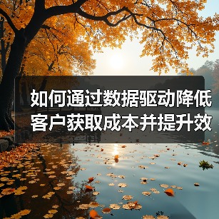 如何通过数据驱动降低客户获取成本并提升效率？（图4）