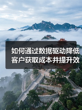 如何通过数据驱动降低客户获取成本并提升效率？（图1）
