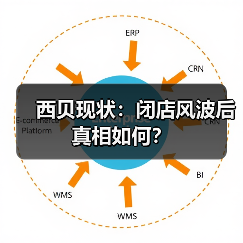 西贝现状：闭店风波后真相如何？（图3）