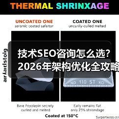 技术SEO咨询怎么选？2026年架构优化全攻略（图2）