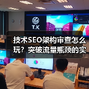 技术SEO架构审查怎么玩？突破流量瓶颈的实战指南（图1）