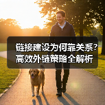 链接建设为何靠关系？高效外链策略全解析（图3）