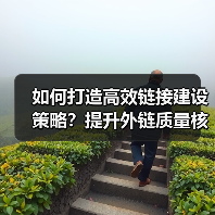 如何打造高效链接建设策略？提升外链质量核心方法（图4）
