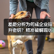 差距分析为何成企业提升密钥？精准破解现状与目标难题（图3）