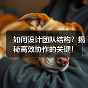 如何设计团队结构？揭秘高效协作的关键！（图4）