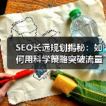 SEO长远规划揭秘：如何用科学策略突破流量瓶颈？（图2）