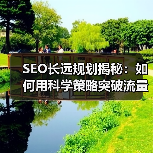SEO长远规划揭秘：如何用科学策略突破流量瓶颈？（图3）