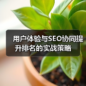 用户体验与SEO协同提升排名的实战策略（图1）