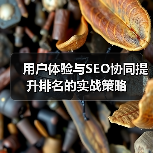 用户体验与SEO协同提升排名的实战策略（图2）