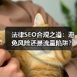 法律SEO合规之道：避免风险还是流量陷阱？（图4）