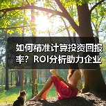 如何精准计算投资回报率？ROI分析助力企业价值最大化（图4）