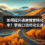 如何提升语音搜索转化率？掌握口语优化实战技巧（图3）