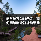 语音搜索革命来袭，如何用策略让智能助手助你一臂之力？（图4）