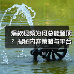 爆款视频为何总能登顶？揭秘内容策略与平台优化的核心秘诀（图2）