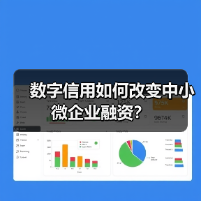 数字信用如何改变中小微企业融资？（图3）