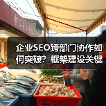 企业SEO跨部门协作如何突破？框架建设关键解析（图3）