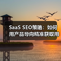 SaaS SEO策略：如何用产品导向精准获取用户（图2）