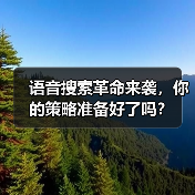 语音搜索革命来袭，你的策略准备好了吗？（图4）
