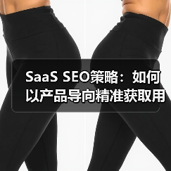 SaaS SEO策略：如何以产品导向精准获取用户？（图2）