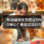 移动端优化为何成为SEO核心？响应式设计与应用优化全解析（图3）