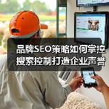 品牌SEO策略如何掌控搜索控制打造企业声誉（图4）